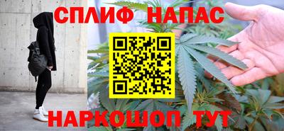 spice Гусев